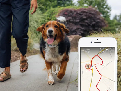 DoggoHome Nyomkövető Nyakörv